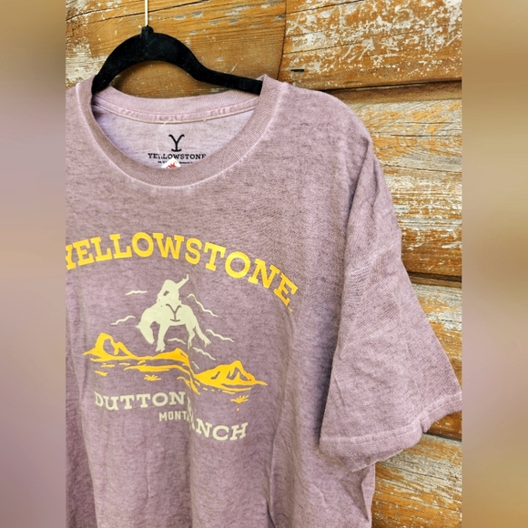Yellowstone Western Taupe Brown & Golden Yellow Graphic Tee Shirt Top Unisex - Picture 6 of 9